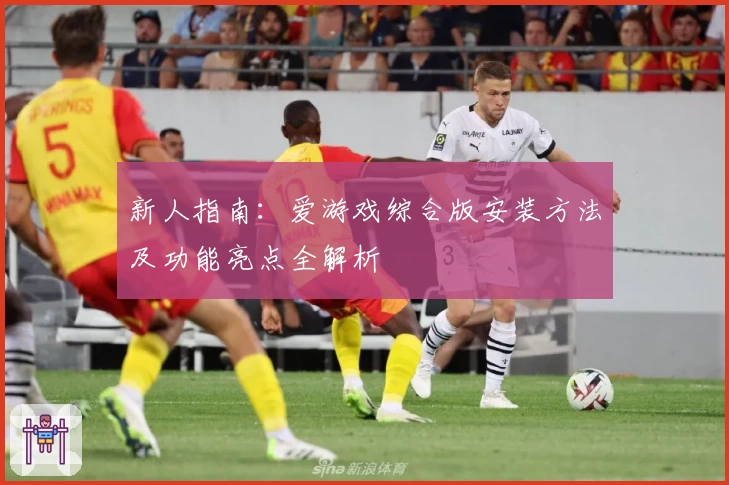 新人指南:爱游戏综合版安装方法及功能亮点全解析